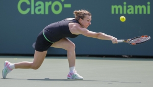 Halep