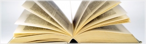 dictionar
