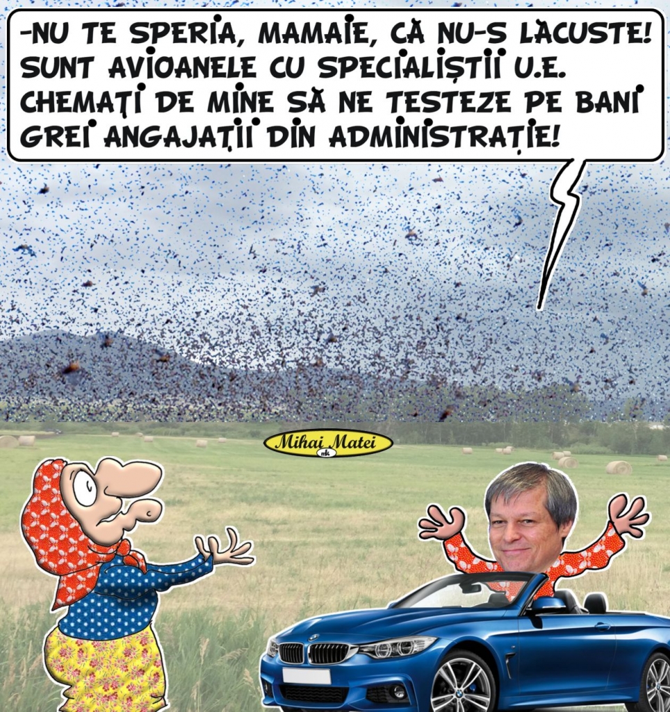LACUSTEUE