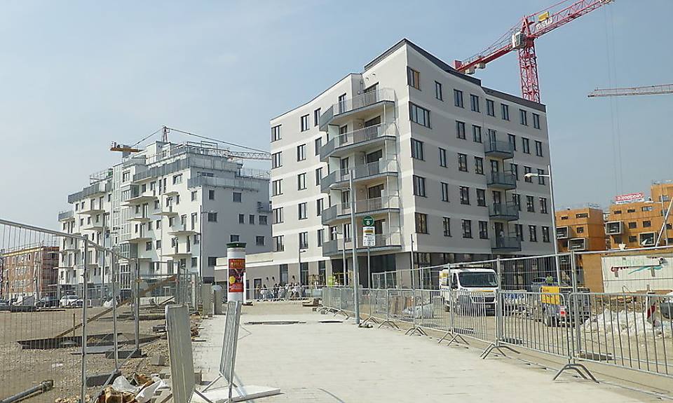 12376380_881279408637093_360885546812989272_n