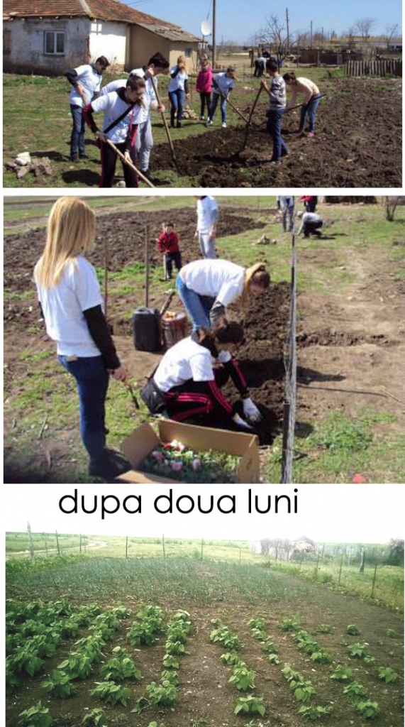 Gradina Pecineaga