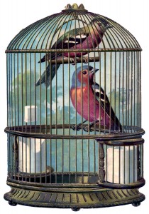 bird+cage+vintage+image+GraphicsFairy004sm