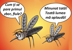 22aplauze