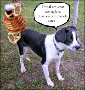 caine-cu-covrigi-in-coada