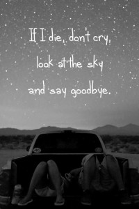 1536_43064cfad4920b8829b97400c2a1c427