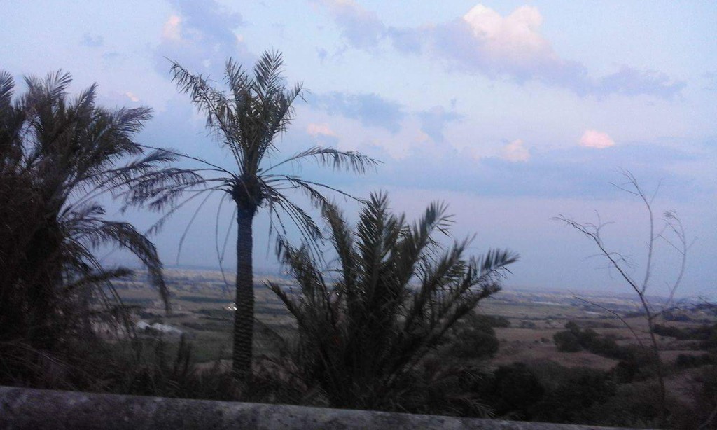 received_1615877668725641