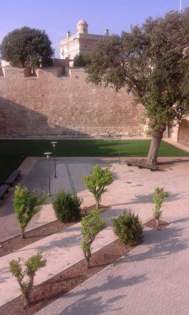 received_1615878458725562