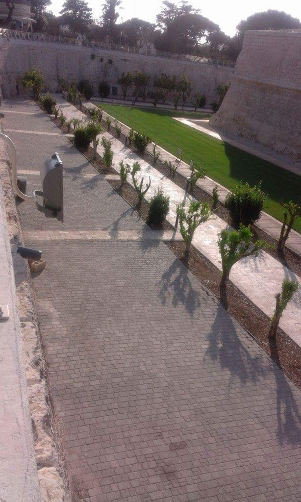 received_1615878495392225