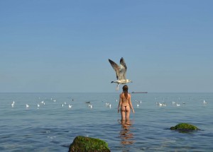A seagull passes a girl preparing to ref