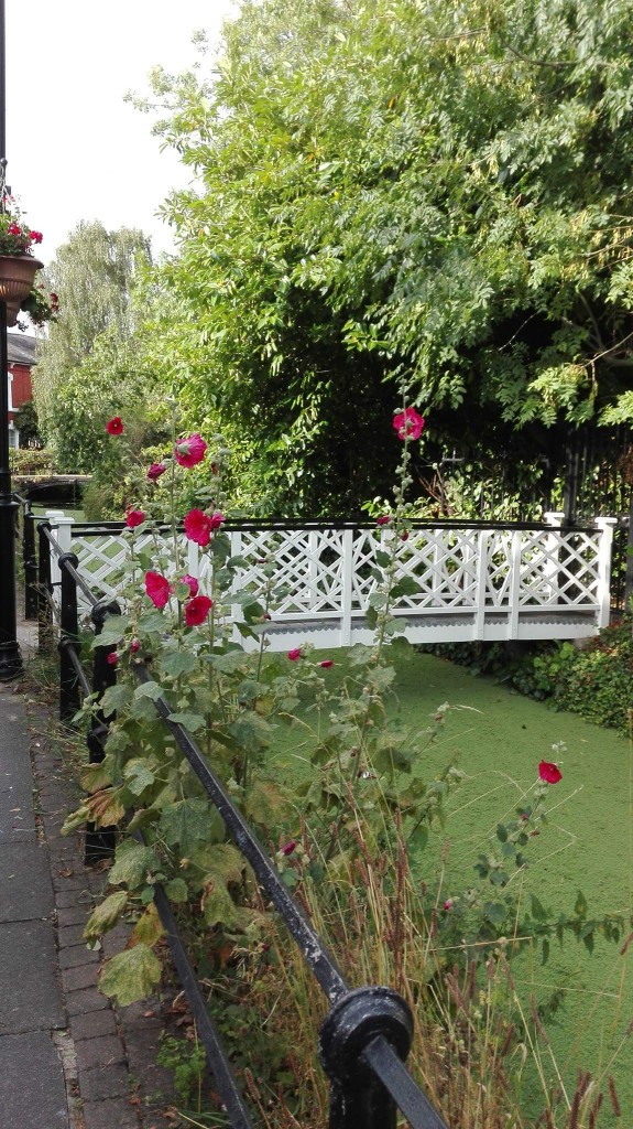 received_341191726212052