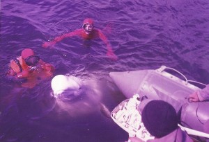 14523119_1579311078761730_8659953911981742597_n