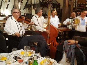 14947951_1498299340185364_5288281536849886923_n