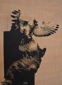 14962632_337332976641323_6251605931541028411_n