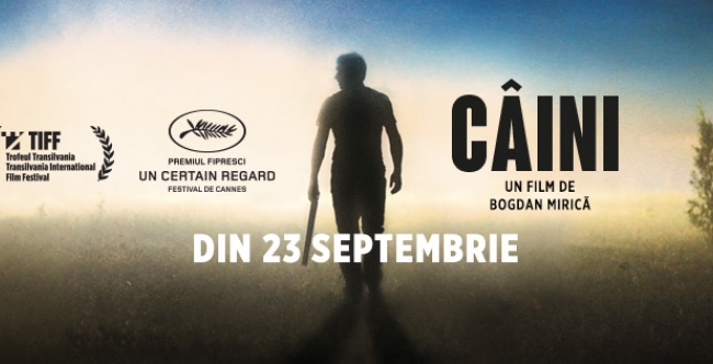 caini_din_23_septembrie_