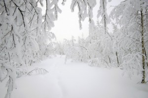 16559652472_1d6708b2a0_b