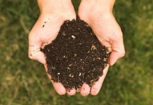 652x450_097823-cum-afli-ce-tip-de-sol-ai-in-gradina