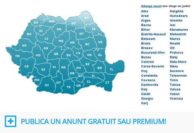 portal de anunturi