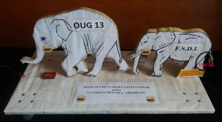 Motiunea de cenzura a elefantilor