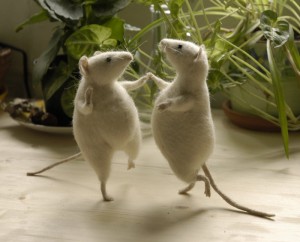 mice-can-dance-dancing-little-animals-28662996-700-565