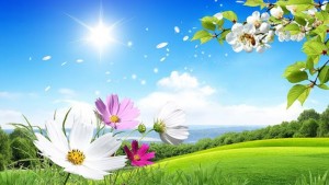 imagen-spring-live-wallpaper-2gal