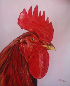 red-cock--0-20111230023619