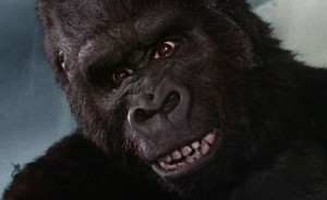 934920e5eb221aa40b90c4afaccbd60c