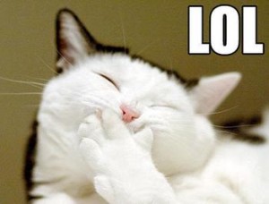 cat_laughing