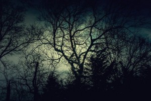 dark_light_by_nyoung3-d5y7p6u