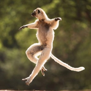 c4f1062bbbf2a232ae96d6856b025b19