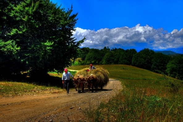 viata-la-tara-este-foarte-rumoasa_172493