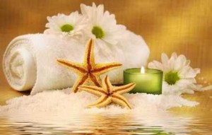 2 stele de mare intr-un cadru de spa