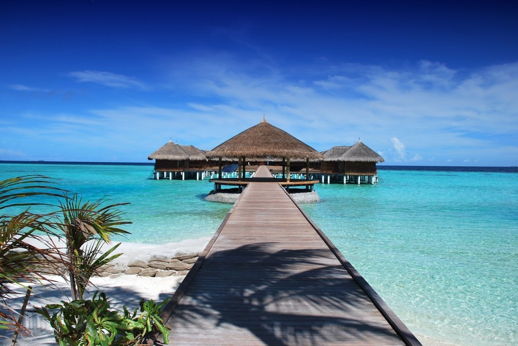 vacante maldive