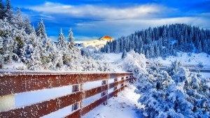 o-zi-placuta-de-iarna