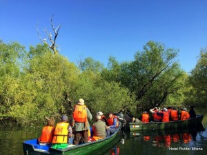 11212125_833831813373664_2543954486347769152_o-1