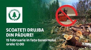 received_2514594582143022