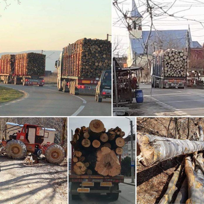 received_578231602899837