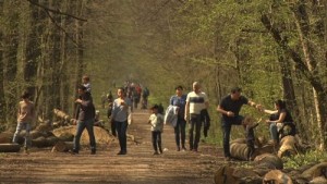 received_901499040286106