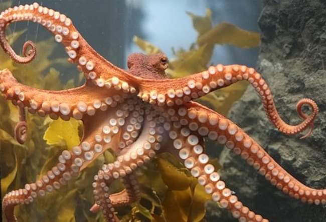 received_2571879693061947