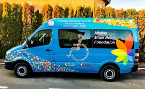 masina mihai nesu fundation