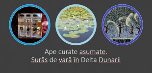 „Ape curate asumate” – Surâs de vară ȋn Delta Dunarii