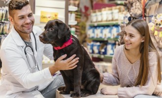 Animalele de companie şi importanța controlului anual la medicul veterinar