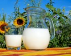 Pasteurizator lapte – de ce este important?