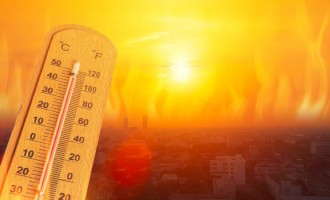 Primele avertizări de canciulă din acest an, pentru toată țara: Temperaturi de până la 37 – 38 de grade Celsius