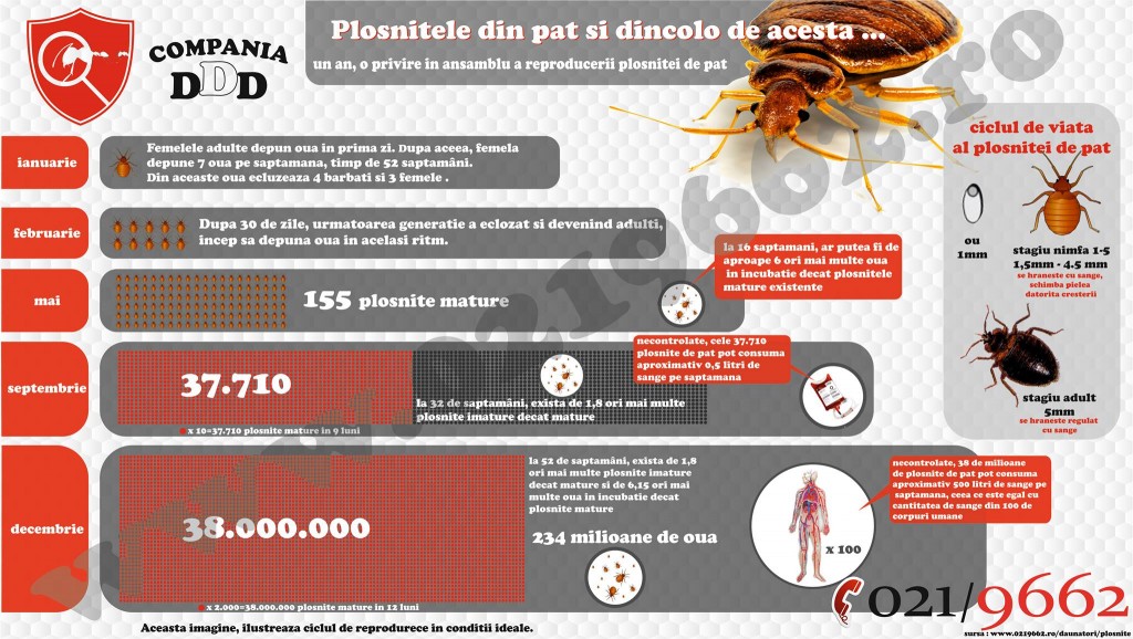 Plosnita de pat - Compania DDD